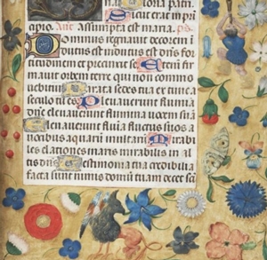 First Wednesdays with the Rare Book Department